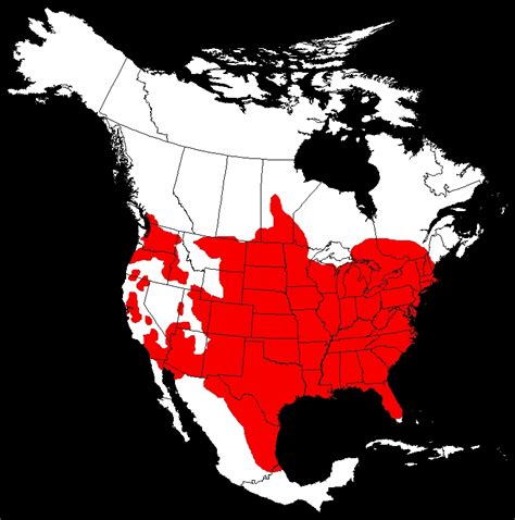 channel catfish range map.